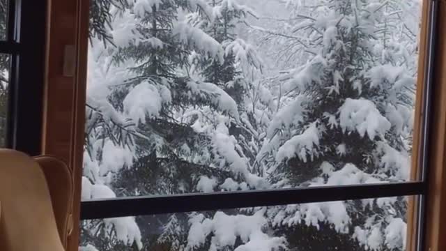 Looking forward to a snowy winter