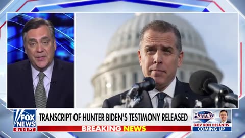 Hunter Biden _confirmed essential elements_ of House GOP allegations_ Turley
