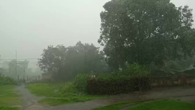 Raining in my village (sound of rain)