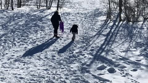 Sledding on a sunny winter’s day