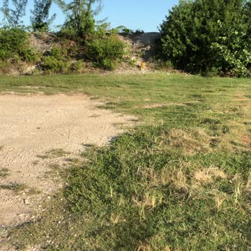 Crossbow target shooting