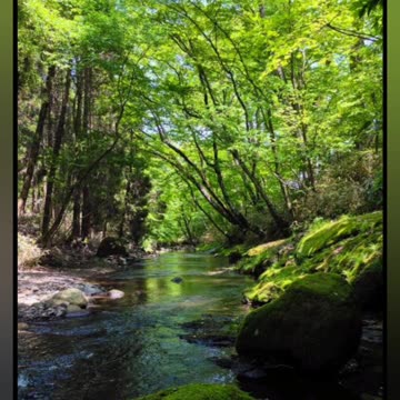 Nature beauty 🌸🌿🌟