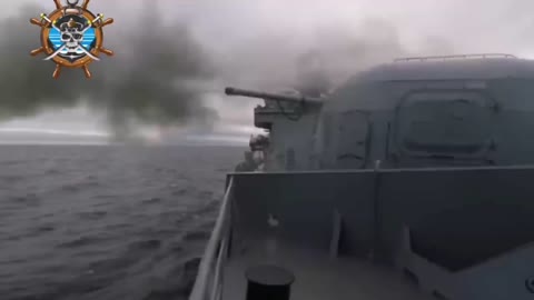 Marine forces just in