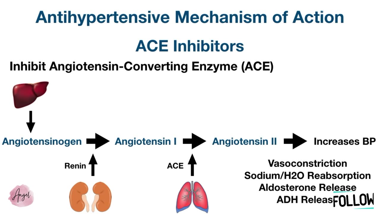 Antihypertensive Drug Chart_ Pharmacology Made Easy [Classes, Medication Trick, Mechanism of Action]