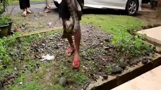 woman catches snake with bare hands