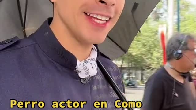 ¿Tu perrito seria buen actor ¿Por qué 🎬🐶