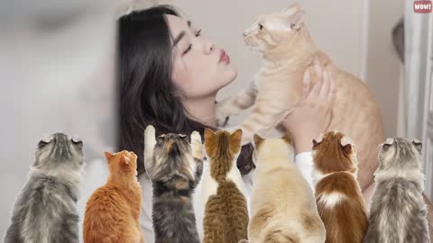 10 Scientific Ways to Get a Cat to Like You genuinely