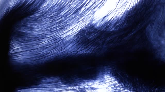 Ink Flow for your video editing (4)