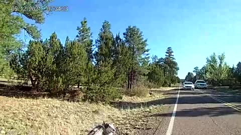 Passing on Pine Rim Rd.