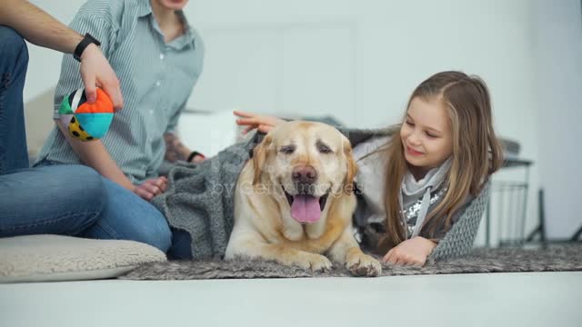 Girl Petting her Dog While Lying on a Rug stock video
