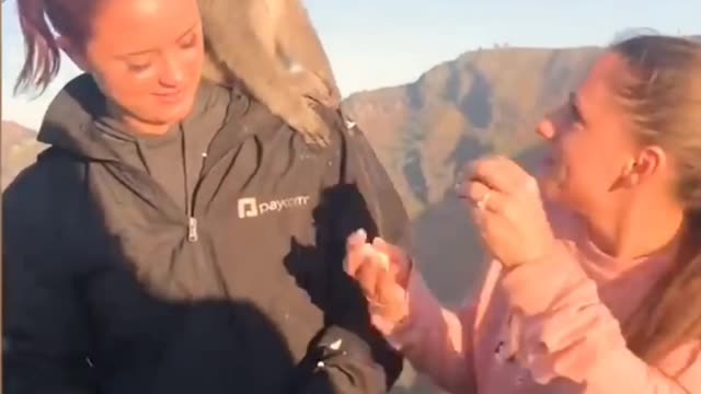 Funny video usa