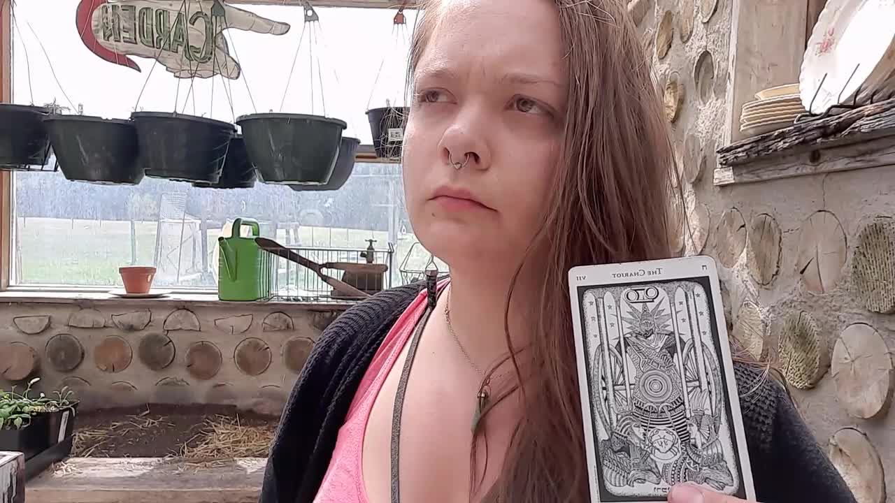 Weekly Tarot - Guarded? Or... Careful of Boundaries?