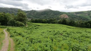 Walking towards Coniston Lake. Lake District. GoPro p