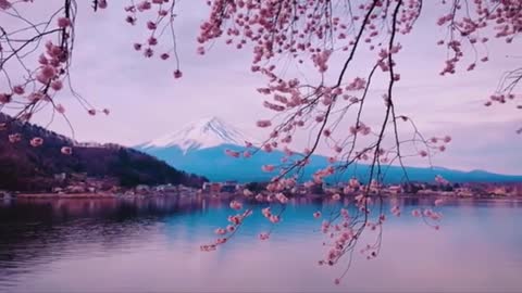This music will make you fall asleep in 20 minutes!!! Antistress music