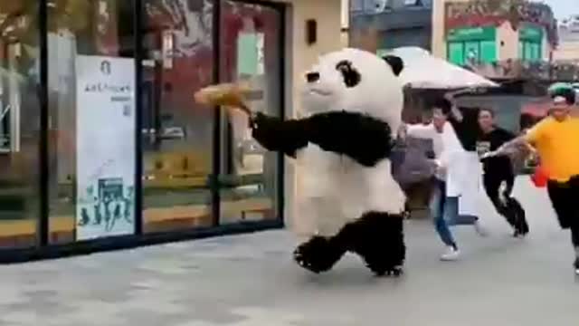 Panda and his gang