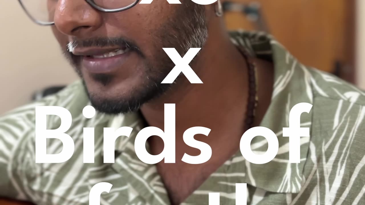 Xo mash up with birds of a feather