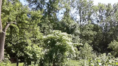 powtórne wykorzystanie słoików