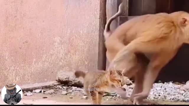 Life with animals it is sweet