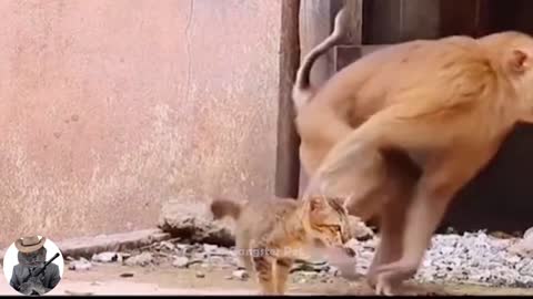 Life with animals it is sweet