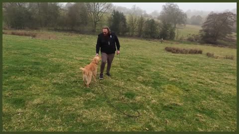 How To Train Dog For Perfect Recall.
