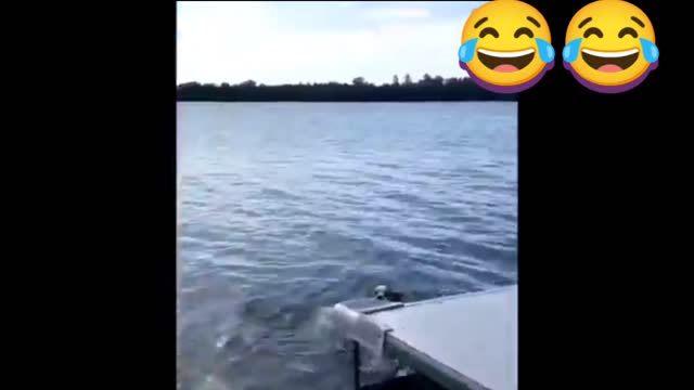 what happens when a dog try to jump in water