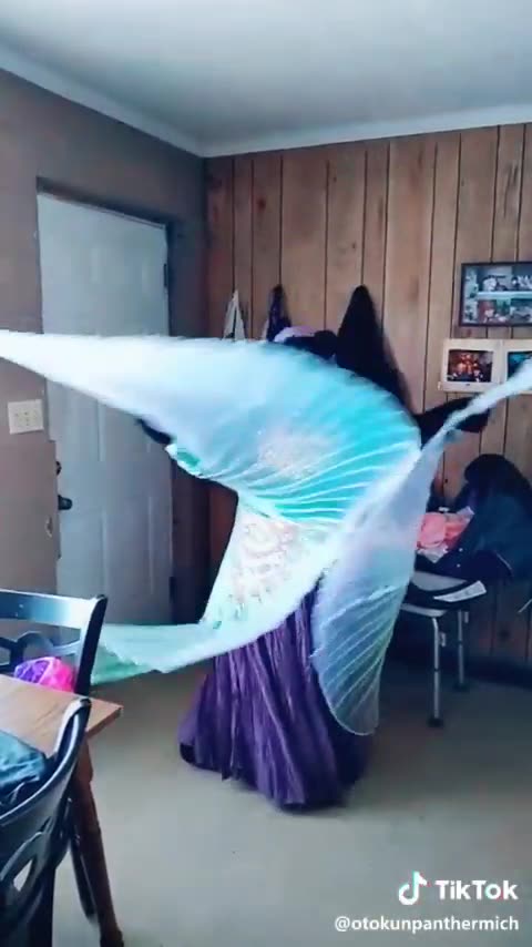 Furry Gitana AYE CHIHUAHUA