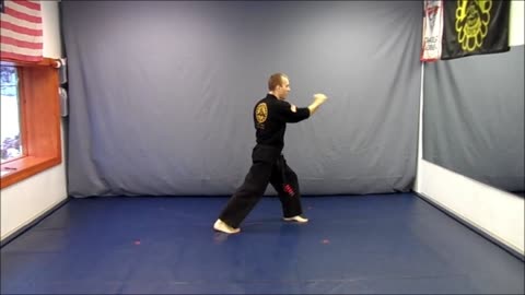 Basic Skillz Black Belt - White Stripe