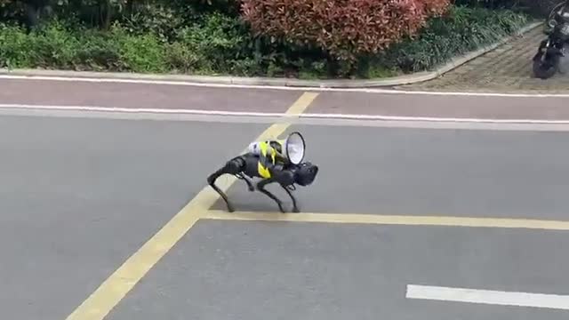 Apparently, Robot Dogs With Loudspeakers Enforce Shanghai Lockdown: