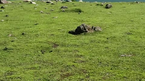 Beautiful nature ratti gali lake