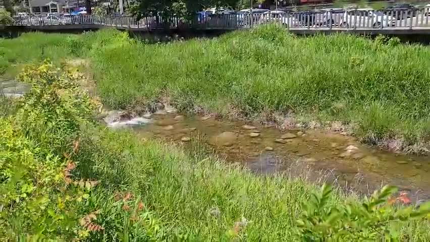 the sound of water in the creek