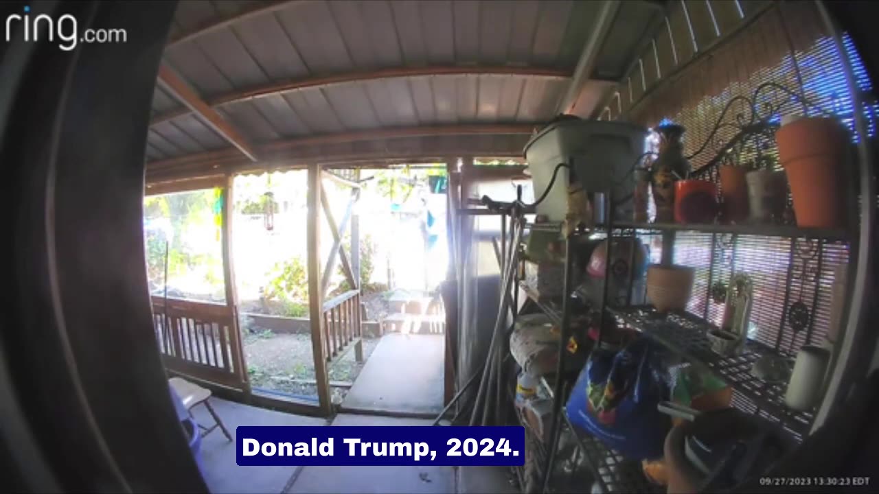 FUNNIEST Ring Doorbell Video Interaction