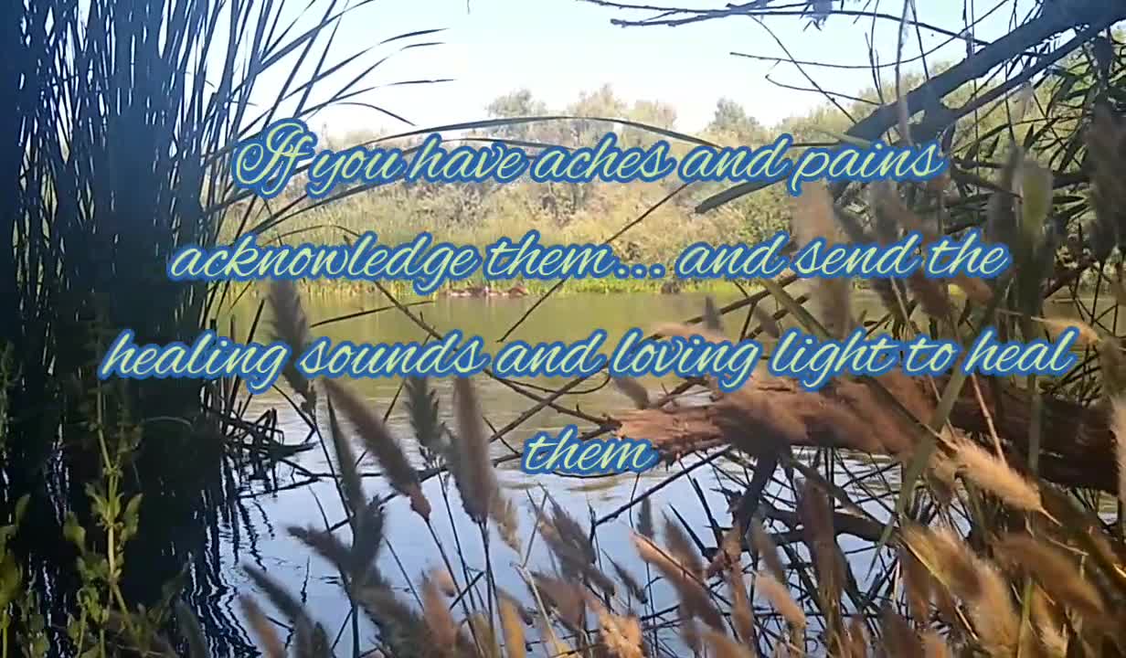 take a moment: Nature Sounds and scenery for meditation and relaxation