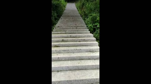 Hang out in the park and climb the towering stairs