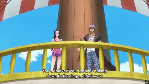 Robin x law,Zoro jealoUs