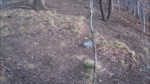 Hayti Cemetery