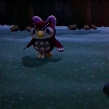 Celeste Realizes I’m Watching!