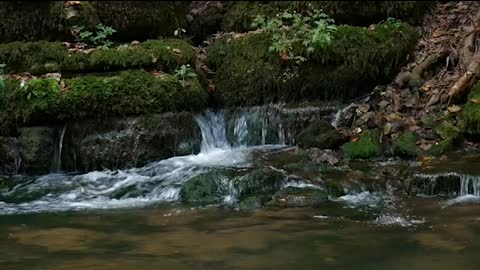 River in the woods ASMR relaxing nature noises sleep and studying chill out