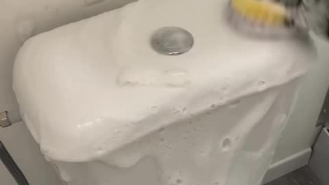 Cleaning toilet