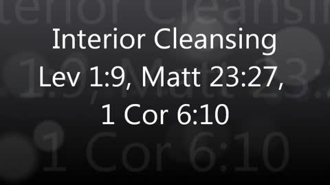 Interior Cleansing The Leviticus Way