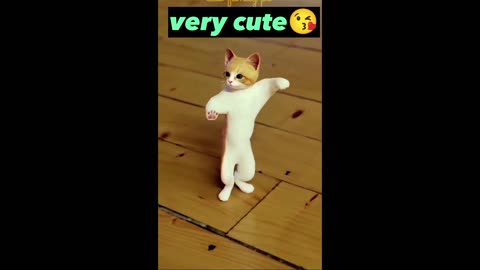 Funny cat video | dancing cats | funny animal