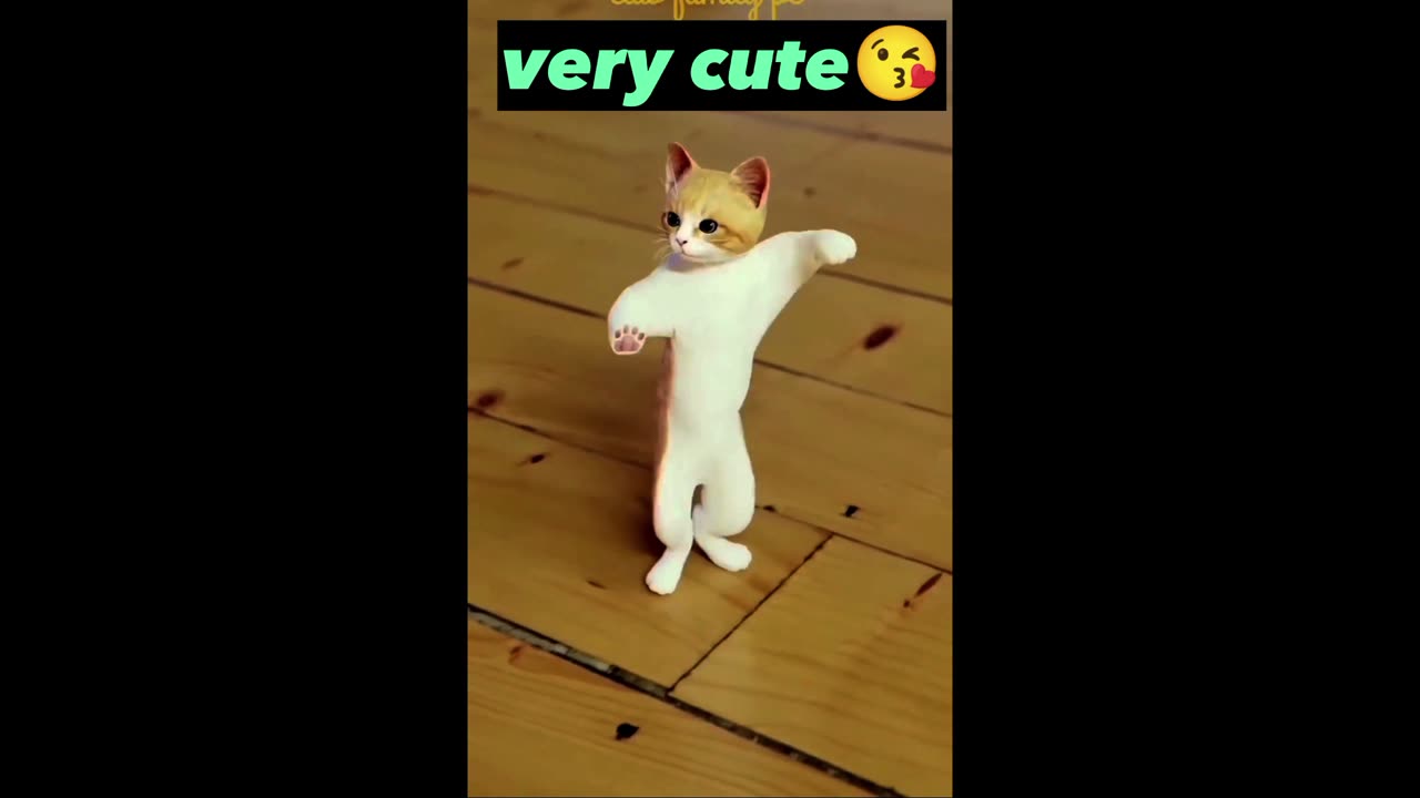 Funny cat video | dancing cats | funny animal