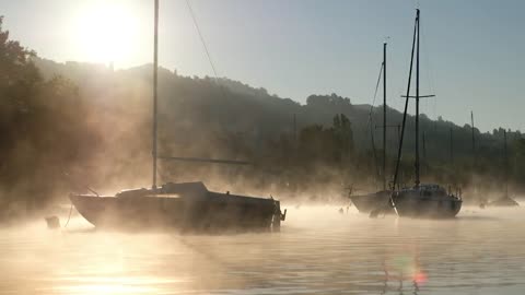 Sailboats At Dock - Free Stock Video