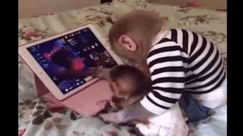 Funniest Monkey - cute and funny monkey video Part-3