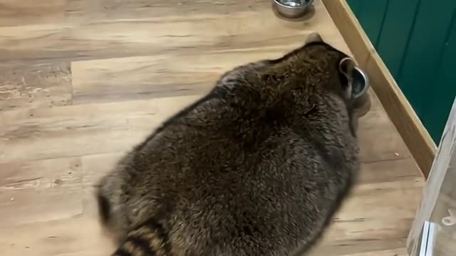 I can row, can you?