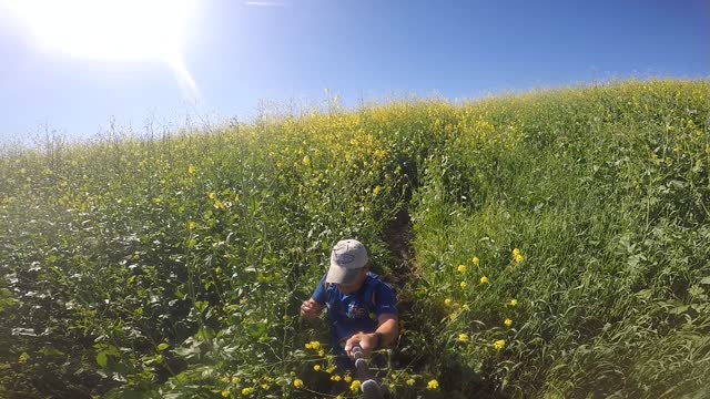 Chino Hill State Park - Spring 2017