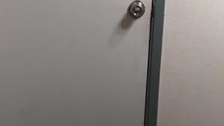 Poop prank on my daughter