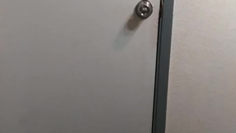 Poop prank on my daughter