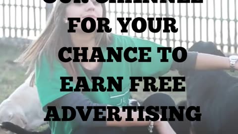 Contact Ad Campaign Agency for Marketing And Advertising Solutions For Pet Boarding