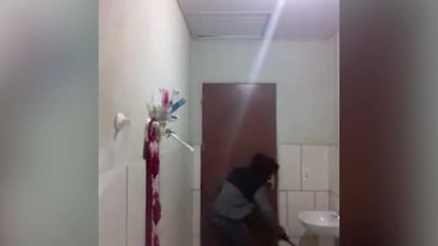 Chasing a rat in bathroom