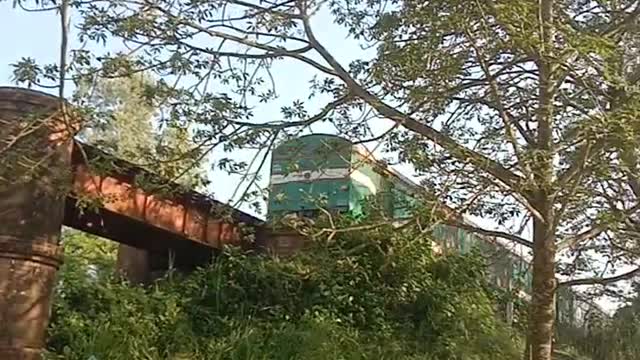 Railway bridge in our village